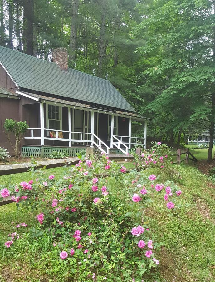 The Cabins At Healing Springs Crumpler Exterior photo